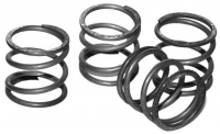 PUSHROD COVER SPRINGS 36-PRESENT