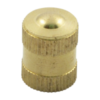 VALVE STEM CAP 23