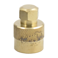 VALVE STEM CAP 27