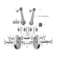 PINION SHAFT (RIGHT SIDE) & LONG CONROD ROLLERS, +.0010"