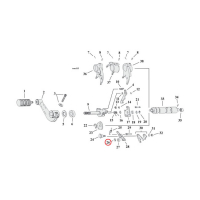 EASTERN RET. RINGS, DETENT ARM. TRANSM.