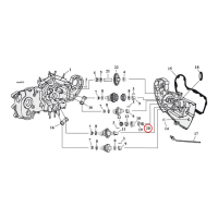 NUT, PINION SHAFT GEAR