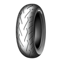 DUNLOP 180/60R16 D250 (H)