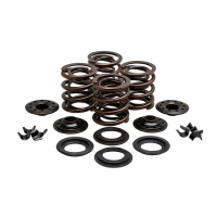 KPMI KNUCKLHEAD VALVE SPRING KIT