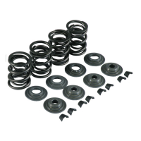 KPMI VALVE SPRING KIT .480 LIFT