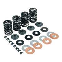 KPMI VALVE SPRING KIT .550 LIFT