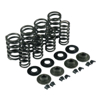 KPMI VALVE SPRING KIT .600 LIFT