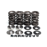 KPMI, VALVE SPRING KIT. .600" LIFT. TITANIUM TOP COLLARS