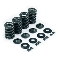 KPMI, VALVE SPRING KIT. .655" LIFT. STEEL TOP COLLARS