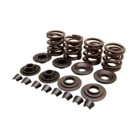 KMMI VALVE SPRING KIT .400 LIFT