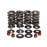 KPMI, VALVE SPRING KIT. .630" LIFT. TITANIUM TOP COLLARS