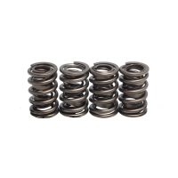 KPMI, REPL. VALVE SPRINGS