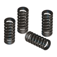 S&S VALVE SPRING SET