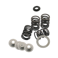 S&S VALVE SPRING KIT