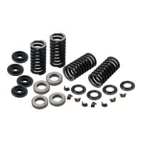 S&S VALVE SPRING KIT