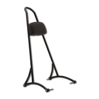 BURLY, SISSY BAR. 20" BLACK, WITH BACKREST PAD