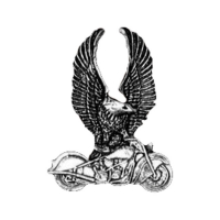 BIKER PINS EAGLE ON BIKE PIN