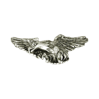 FLYING EAGLE PIN