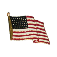 BIKER PINS AMERICAN FLAG PIN