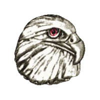 BIKER PINS EAGLE HEAD PIN