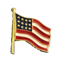 TINY USA FLAG LAPEL PIN