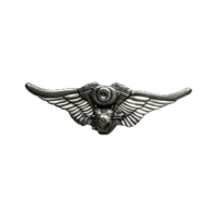 BIKER PINS V-TWIN ENGINE WINGS PIN