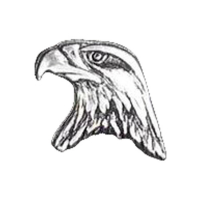 TINY EAGLE HEAD PIN