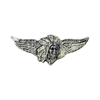 INDIAN HEAD WINGS PIN