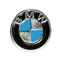 BMW BIKER PIN