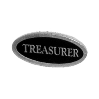 TREASURER TITLE PIN