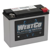 WESTCO, SEALED AGM BATTERY. 12V, 20AH, 340CCA