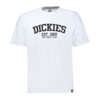 DICKIES FINLEY T-SHIRT WHITE