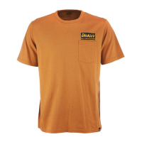 DICKIES FRANKLIN PARK T-SHIRT BROWN DUCK