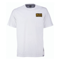 DICKIES FRANKLIN PARK T-SHIRT WHITE