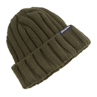 DICKIES EAGLES MERE BEANIE HAT DARK OLIVE