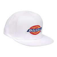 DICKIES MULDOON 5 PANEL SNAPBACK WHITE