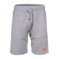 DICKIES MAYSVILLE SHORTS GREY MELANGE