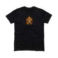 WCC IN FLAMES T-SHIRT VINTAGE BLACK