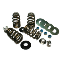 FEULING, HIGH LOAD BEEHIVE VALVE SPRING KIT. .750" LIFT