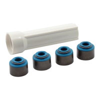 FEULING , VITON VALVE SEAL KIT