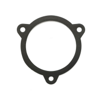 JAMES, THROTTLE BODY/FILTER TO AIR CLEANER HOUSING GASKET