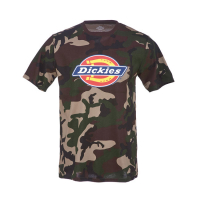 DICKIES HORSESHOE T-SHIRT CAMO