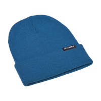 DICKIES ALASKA BEANIE DARK TEAL