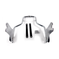 DETACHABLE SISSY BAR SIDE PLATES