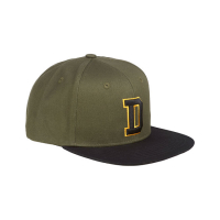 DICKIES WESTDALE 5 PANEL SNAPBACK CAP HEATH G