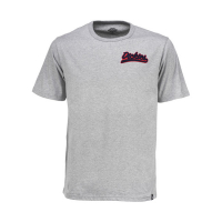 DICKIES BELFRY T-SHIRT GREY MELANGE