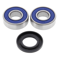 ALL BALLS WHEEL BEARING KIT, FRONT