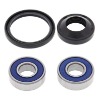 ALL BALLS WHEEL BEARING KIT, FRONT