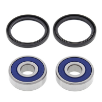 ALL BALLS WHEEL BEARING KIT, FRONT & REAR