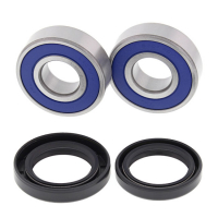 ALL BALLS WHEEL BEARING KIT, FRONT